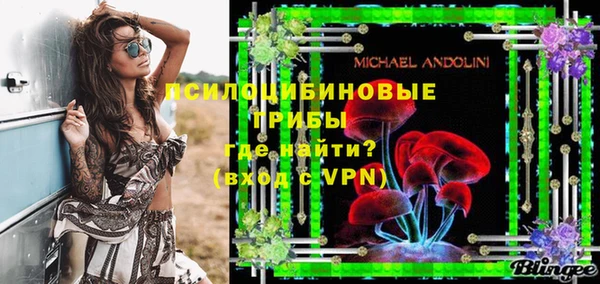 прущие грибы Медногорск