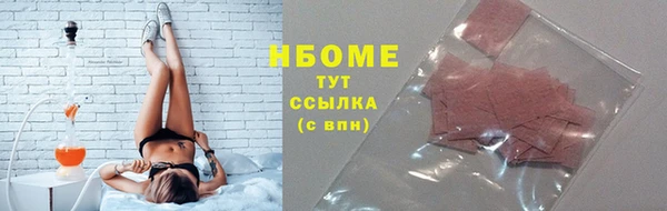 прущие грибы Медногорск