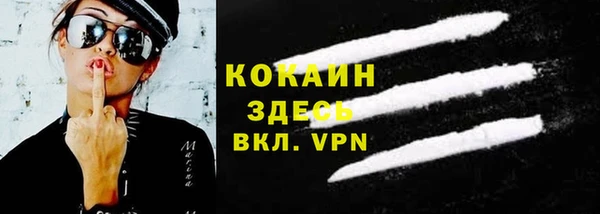 прущие грибы Медногорск