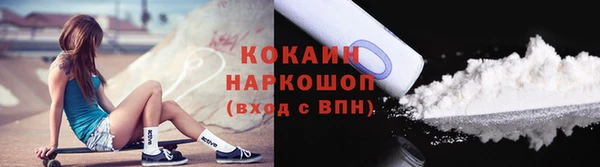 прущие грибы Медногорск