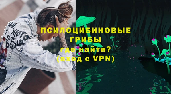 mdpv Медвежьегорск