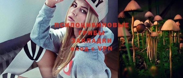 прущие грибы Медногорск