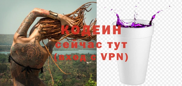 прущие грибы Медногорск