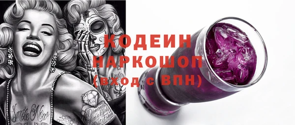прущие грибы Медногорск